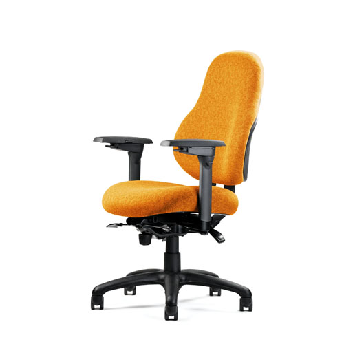 Neutral Posture Tall Back Ergonomic Computer Chair